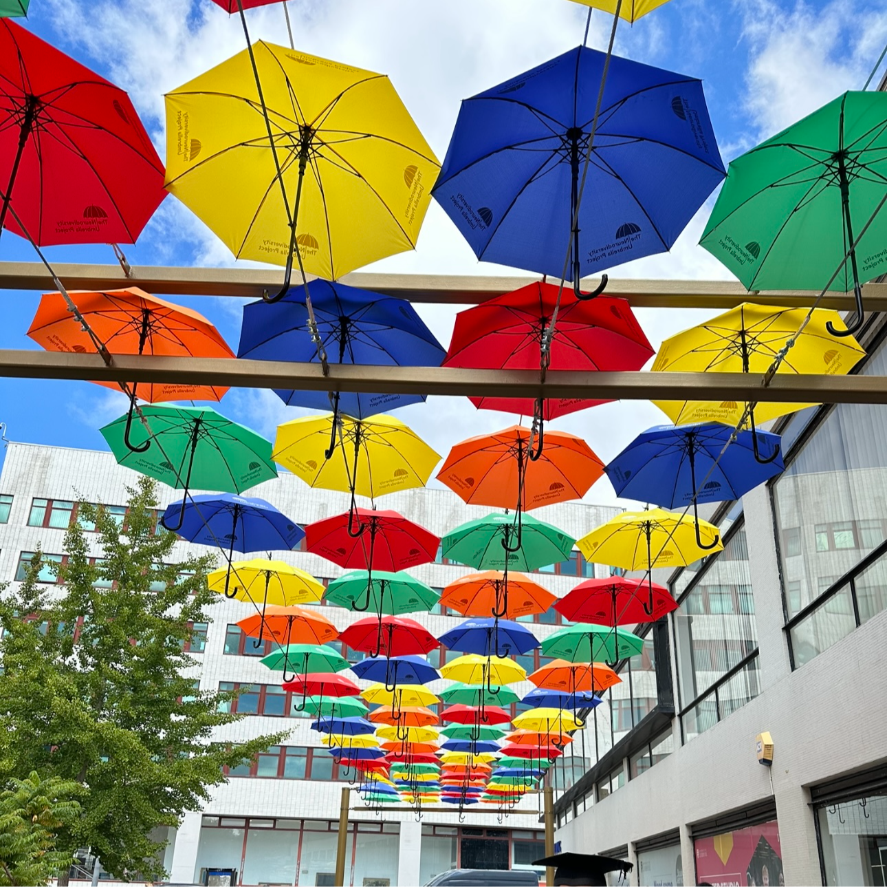 Umbrella Img 1015